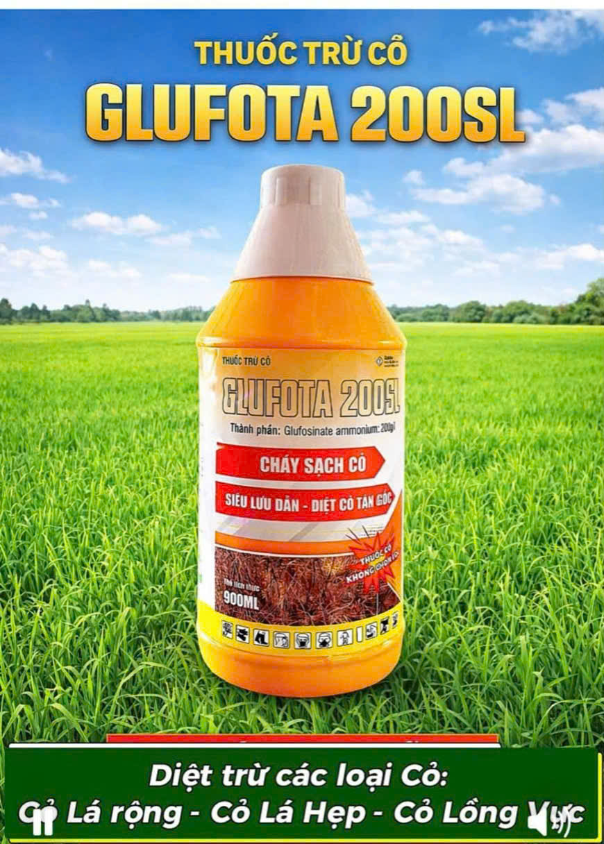 GLUFOTA 200SL CHÁY SẠCH CỎ