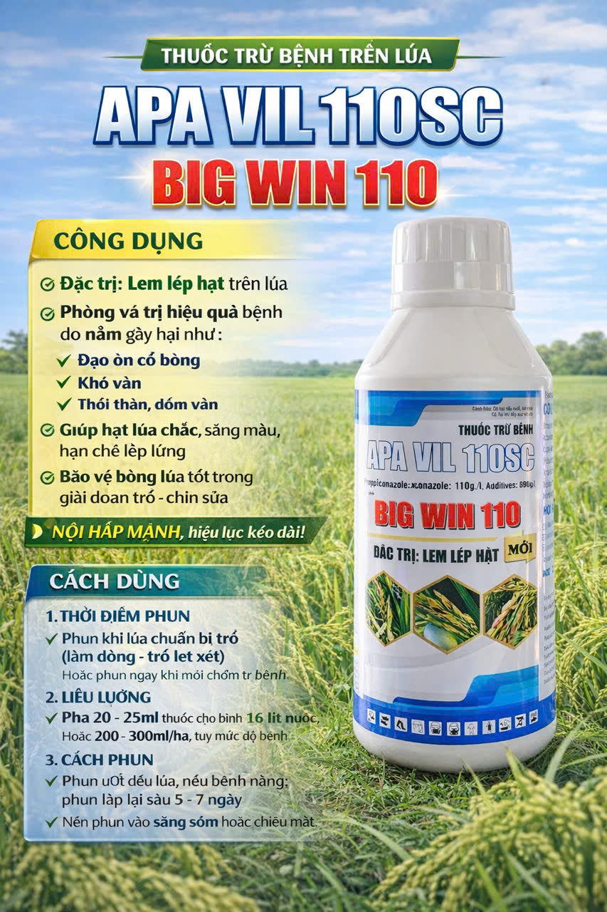 JAPA VIL 110SC (BIG WIN 110)