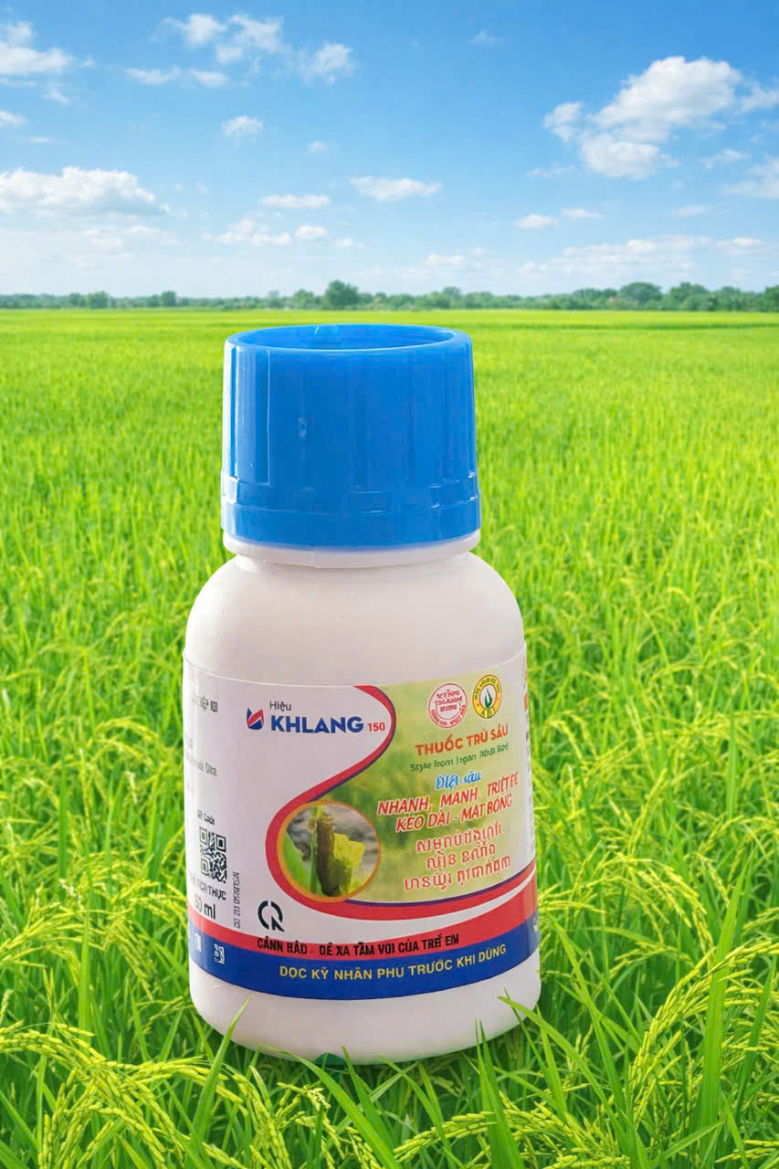 KH LANG - Ảnh 4