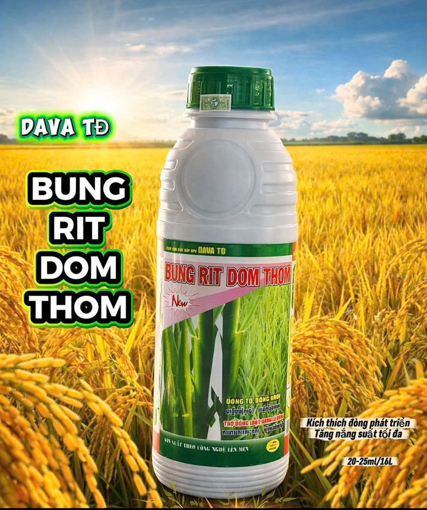 BUNGRIT DOM THOM - Ảnh 2