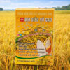 BIO SIÊU VỎ GẠO
