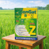 CONGAT AZ